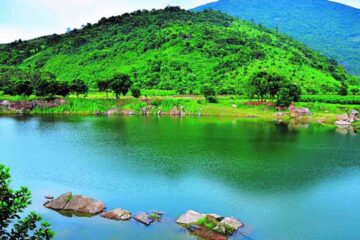 Xr:d:dafk0g3kq1u:55,j:34089700462,t:22083019